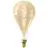 Calex XXL Splash Dorée LED E27 Filament 3W 250lm- 822 Blanc Très Chaud | Dimmable