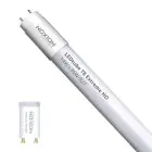 Noxion Tube LED T8 Avant Extreme (EM/Direct 230V) High Output 16.5W 2650lm - 865 Lumière Du Jour | 150cm - Équivalent 58W